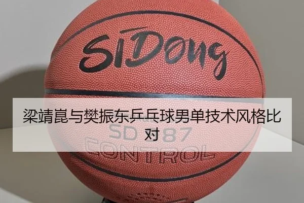 梁靖崑与樊振东乒乓球男单技术风格比对